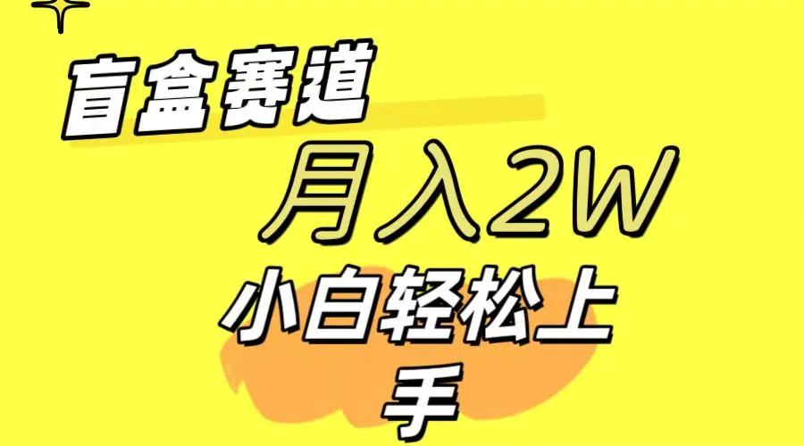 开启你的盲盒赚钱之旅：小白如何轻松月收入更多？-网赚项目