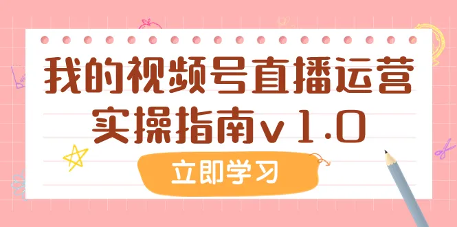 视频号带货直播运营实操指南：从业者必读的付费文章解析-网赚项目