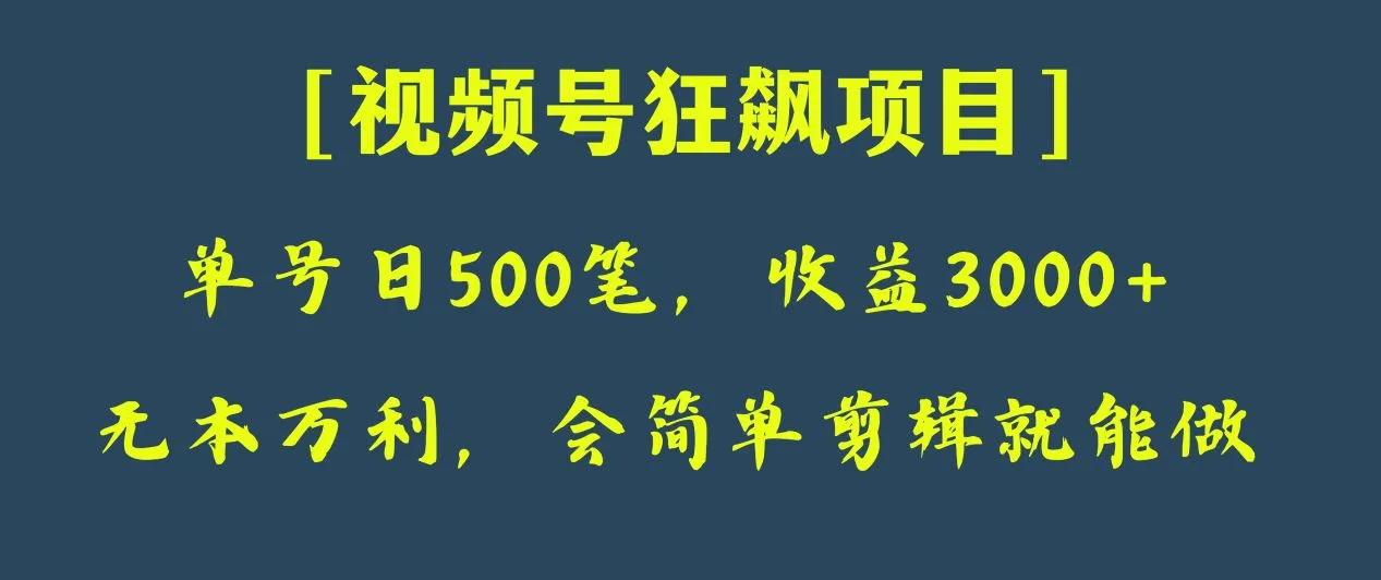 视频号狂飙项目：手把手教你日收款500笔，纯利润3000 的秘诀！-网赚项目