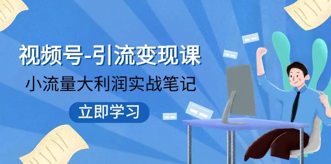 视频号引流变现：小流量大利润实战指南，突破传统思维，重塑品牌格局-网赚项目