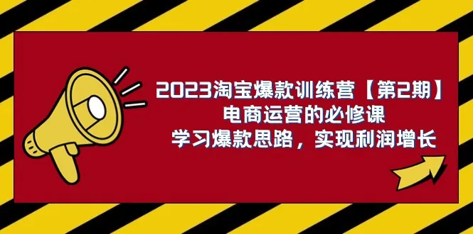 2023淘宝爆款课程：电商运营必备技能，提升销量、实现利润增长-网赚项目