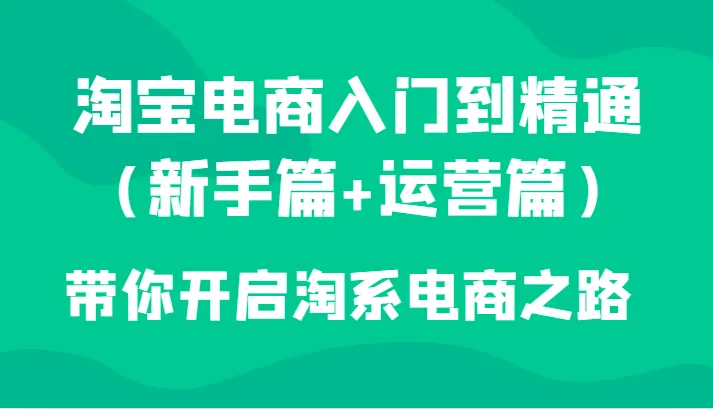 淘宝电商从入门到精通：新手指南 实战运营宝典-网赚项目