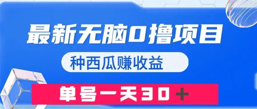 无脑0撸项目：种西瓜赚收益，轻松获利新玩法揭秘！-网赚项目