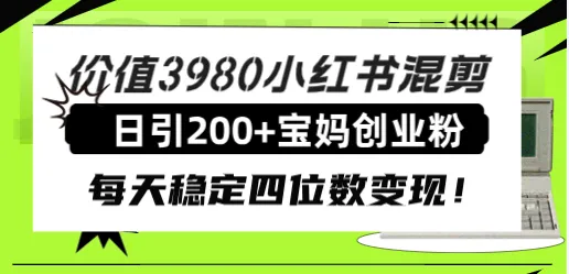 小红书宝妈创业粉引流教程：稳定增多变现的秘密揭示！-网赚项目