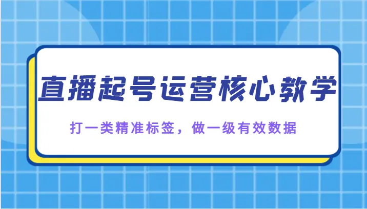 直播起号运营核心教学：打造一流话术、精准标签，驾驭有效数据-网赚项目