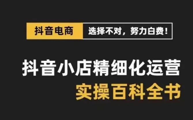 抖音小店精细化运营全攻略：28节实战课程 百招秘籍-网赚项目