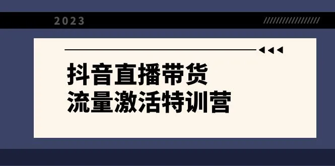 抖音直播带货入门宝典：21节特训营助你快速上手（附高清视频教程）-网赚项目