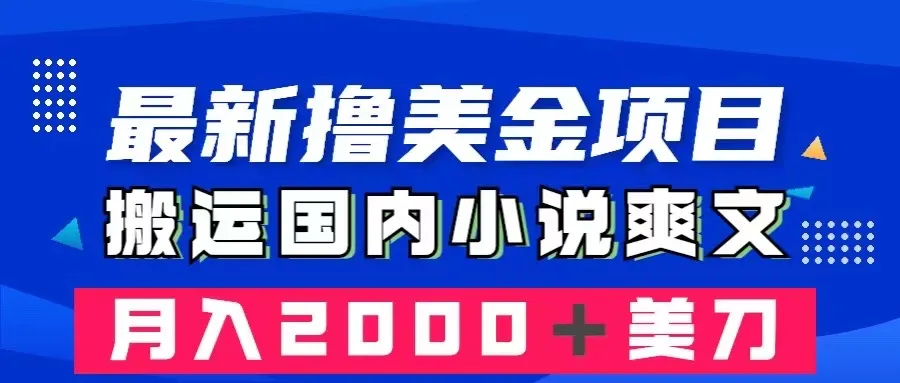 揭秘最新撸美金项目：利用国内小说爽文，在海外赚取美金的独门技巧-网赚项目