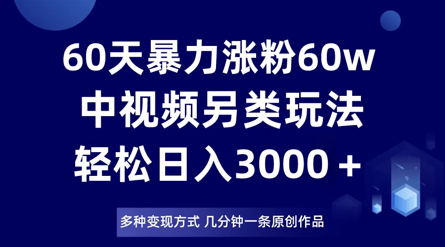 解锁中视频另类玩法，赚取日收入不断攀升＋的新机会！-网赚项目