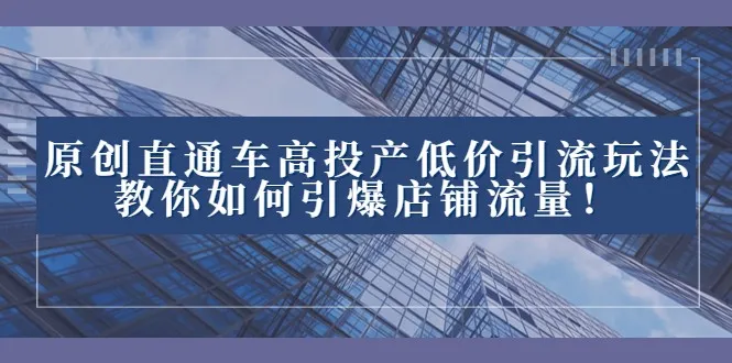 2023年爆款直通车低成本高效引流的运营策略：掌握这招让你的商品瞬间爆火-网赚项目