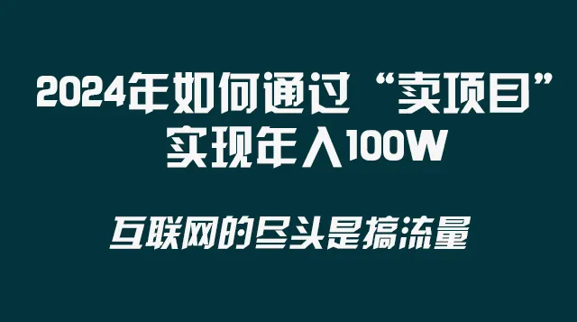 2024年最新实战技巧：精准洞察，如何通过“卖项目”实现成功？-网赚项目