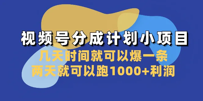 视频号分成计划实操：爆一条视频、跑1000 利润的秘诀揭秘！-网赚项目