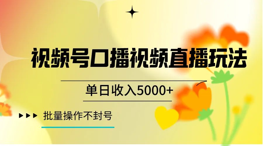 视频号口播视频直播玩法揭秘：一种单号持续操作的变现利器-网赚项目