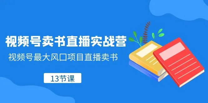 视频号直播卖书教程：13节实战训练营-网赚项目