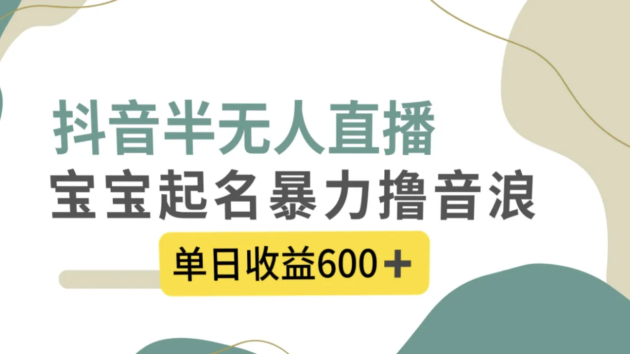 探秘抖音半无人直播：宝宝起名、撸音浪单全攻略！-网赚项目