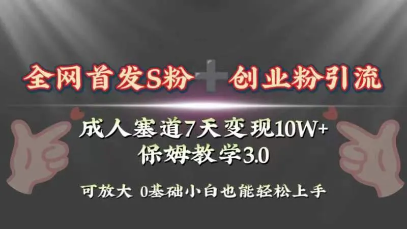 探索成人赛道：7天实操教程揭秘引流变现奥秘-网赚项目