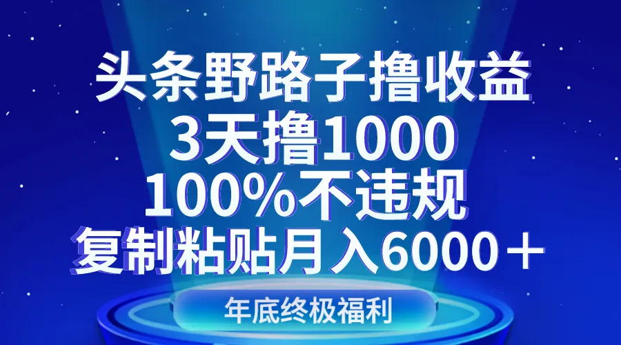 头条野路子撸增收，实操分享与技巧揭秘-网赚项目