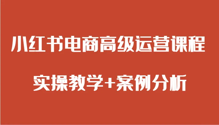 小红书电商运营高级课程：实操教学 案例分析，精准指导你在小红书平台获利的关键技巧-网赚项目