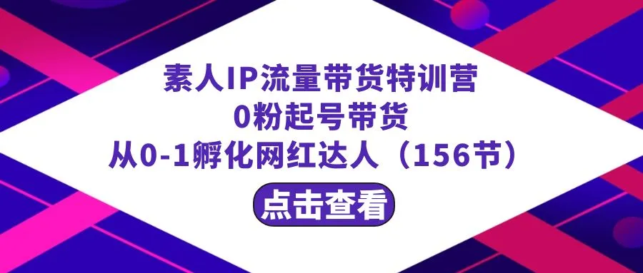 成为网红达人的秘籍：繁星·计划素人IP流量带货特训营解密-网赚项目