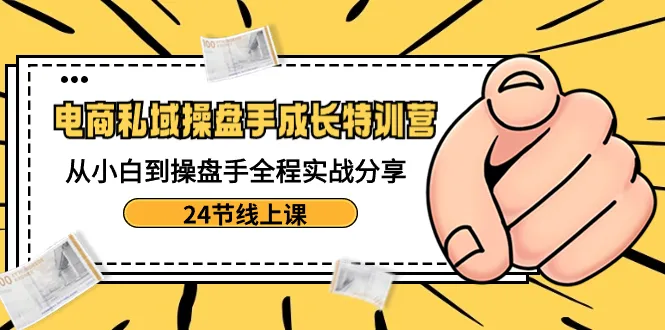 电商私域运营实战特训：从小白到操盘手，全方位成长攻略-网赚项目