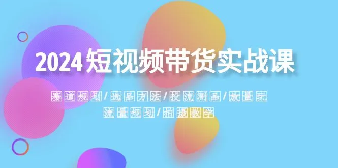 2024短视频带货实战教程：洞悉行业赛道·精选爆款·智慧投放·高效流量规划-网赚项目