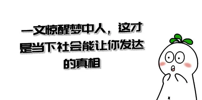 揭秘当下社会的发展密码：深度解读《一文惊醒梦中人》-网赚项目