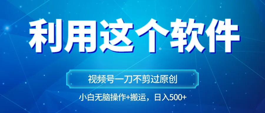 视频号原创玩法揭秘：小白日收入不断攀升 ，无脑操作也能赚钱！-网赚项目