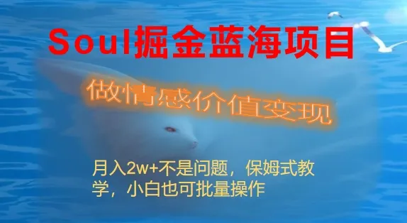 探索Soul社交平台：情感变现的蓝海项目详解-网赚项目