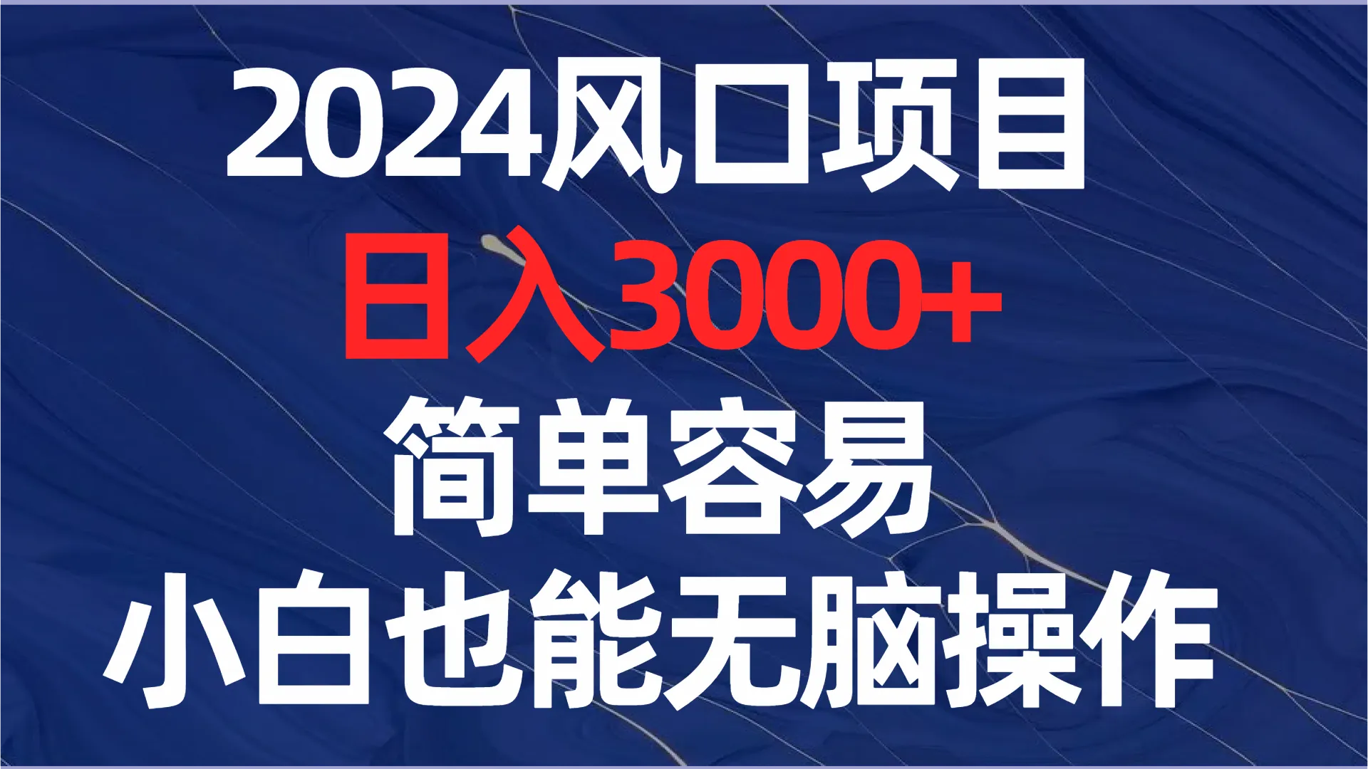 掌握2024风口项目，轻松上手，小白也能参与-网赚项目