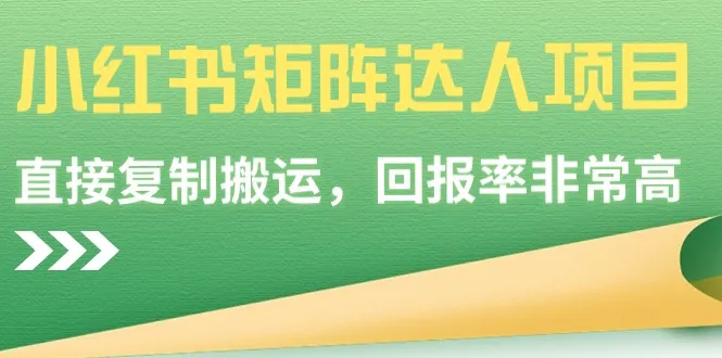 成为小红书矩阵达人：打造高回报副业的完整指南-网赚项目