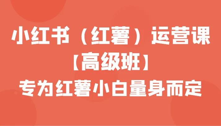 打造红薯小红书帝国：高级班课程解析与实战指南-网赚项目