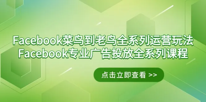 Facebook-菜鸟到老鸟全系列运营玩法 Facebook-专业广告投放全系列课程-网赚项目