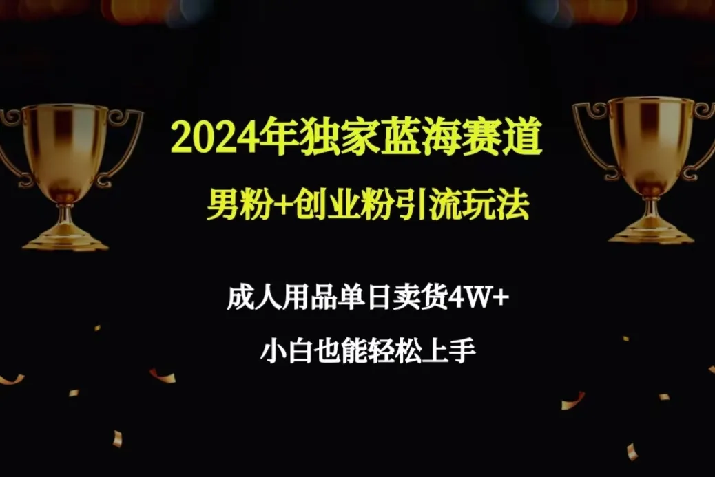 揭秘2024年最新成人用品赚钱玩法，单日销售4W 保姆教程！-网赚项目