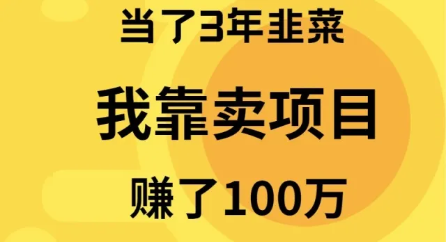 揭秘：如何通过卖项目年增收*万，走出“韭菜”生涯？-网赚项目