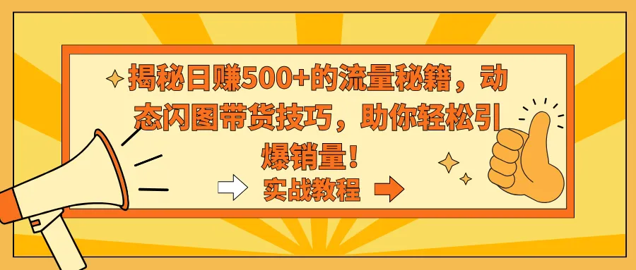 揭秘日收入不断攀升 的流量秘籍，掌握动态闪图带货技巧，轻松引爆销量！-网赚项目