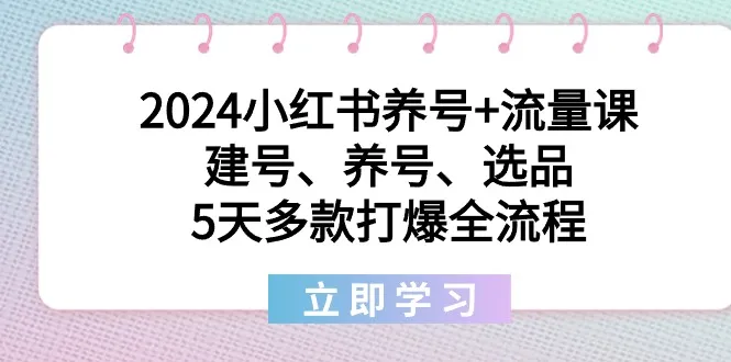 2024年小红书养号课程：打造爆款全流程指南-网赚项目