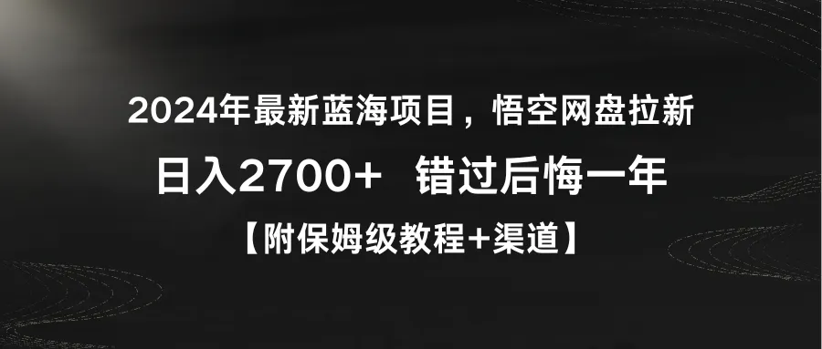 2024年最新蓝海项目，网盘拉新，日收入不断攀升 错过后悔一年【附保姆级教程 渠道】