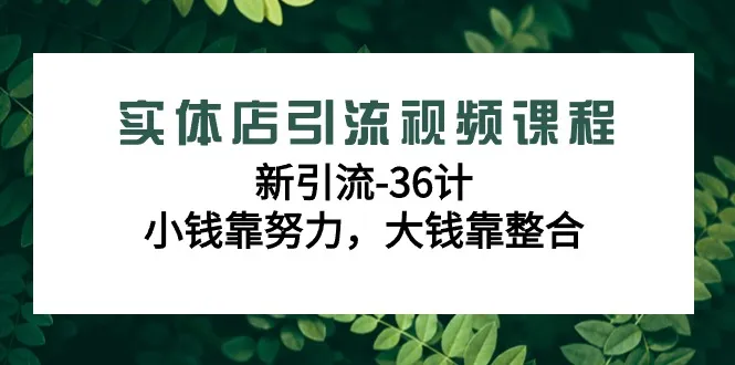 实体店引流视频课程，新引流-36计，小钱靠努力，大钱靠整合（48节-）