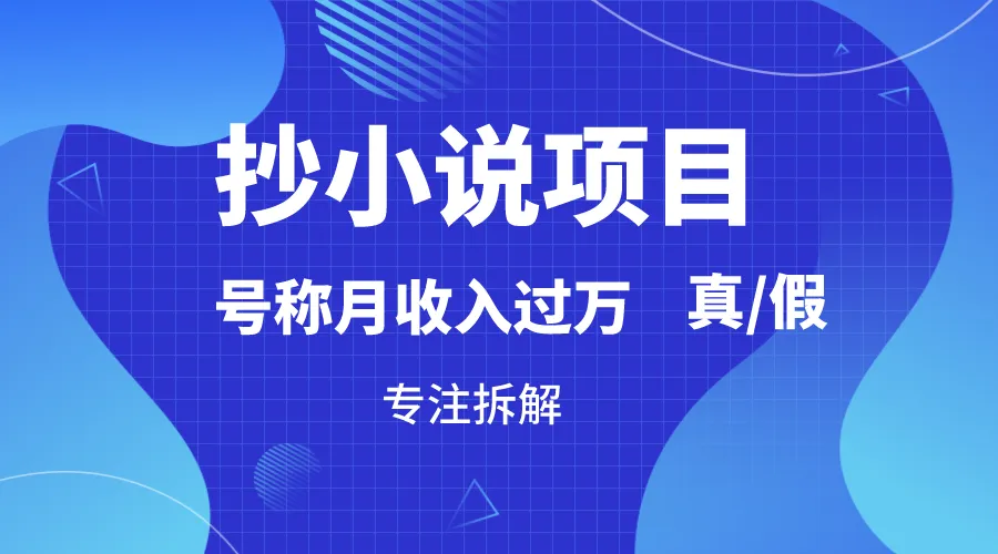 探索抄小说项目的真相：月增更多是否可行？详细解析