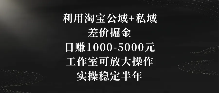 淘宝公域 私域电商：揭秘每日*元收益的实战攻略-网赚项目