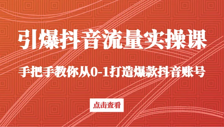 引爆抖音流量实操课：从零到一，打造爆款抖音账号的终极指南-网赚项目