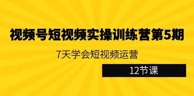 掌握短视频运营技巧：视频号短视频实操训练营详解与实战指导-网赚项目