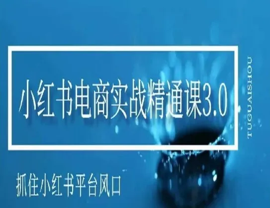 掌握小红书电商风口：小红书电商实战精通课3.0详解-网赚项目