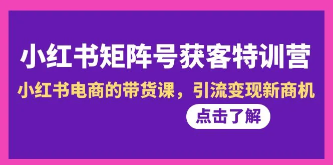 掌握小红书电商带货新技巧：矩阵号获客特训营解析-网赚项目