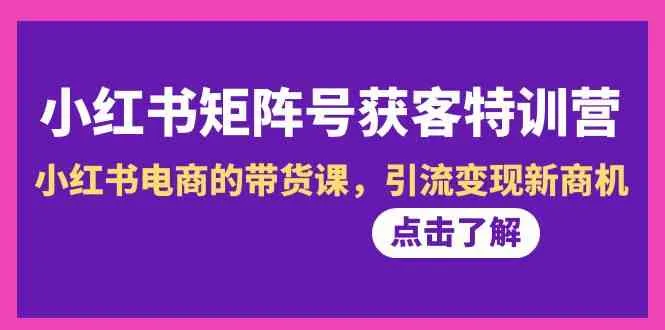 掌握小红书电商新商机：引流变现特训营第10期-网赚项目