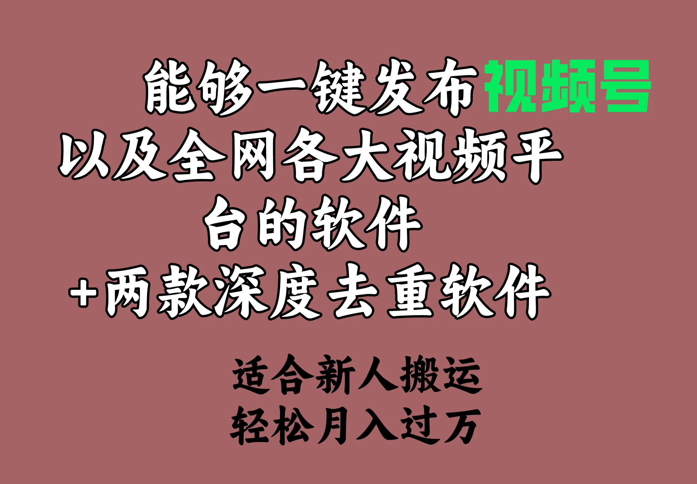 一键发布软件和深度去重工具：提升视频内容分发效率的利器-网赚项目