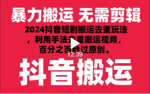 抖音视频创业新趋势：抖音短剧去重技术揭秘！-网赚项目