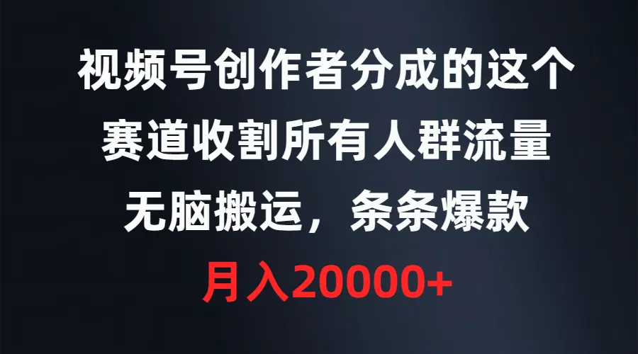 攻略：视频号创作的黄金机会，月收入更多 的秘籍揭秘！-网赚项目