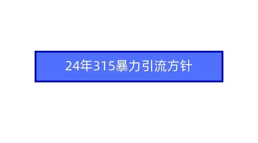 揭秘2024年315暴力引流新技能，掌握网赚秘籍！-网赚项目