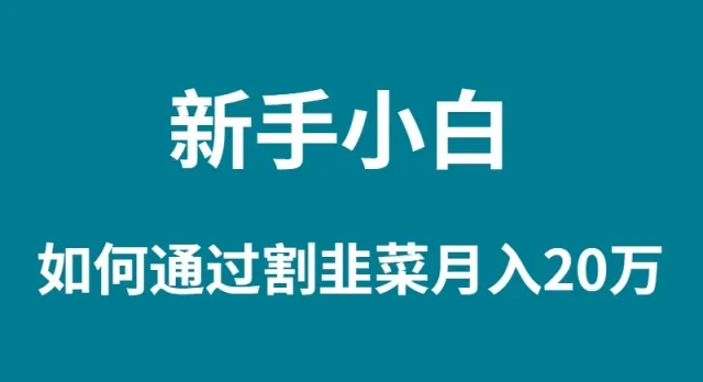 揭秘：如何利用知识付费项目实现月收入更多的逆袭？新手小白必读！-网赚项目